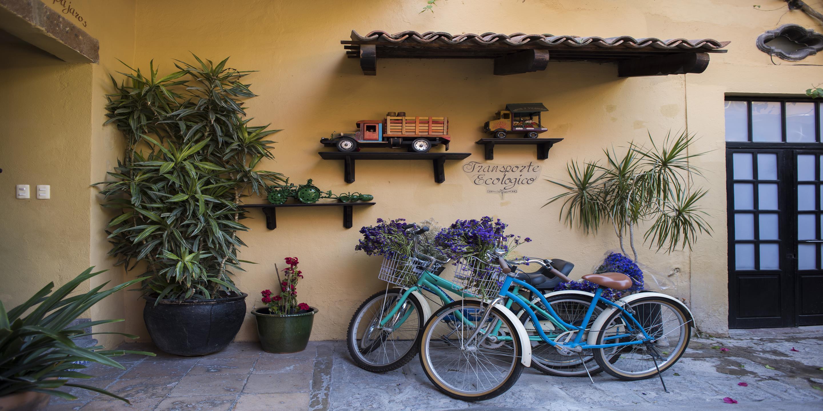Hacienda El Santuario San Miguel De Allende Extérieur photo